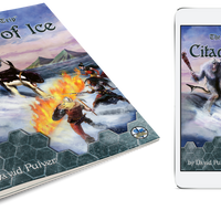 Citadel of Ice